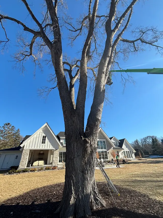 Bratt Tree — photo from the business 2