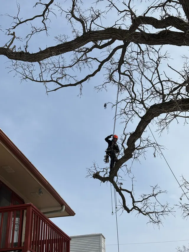 Bratt Tree — photo from the business 4
