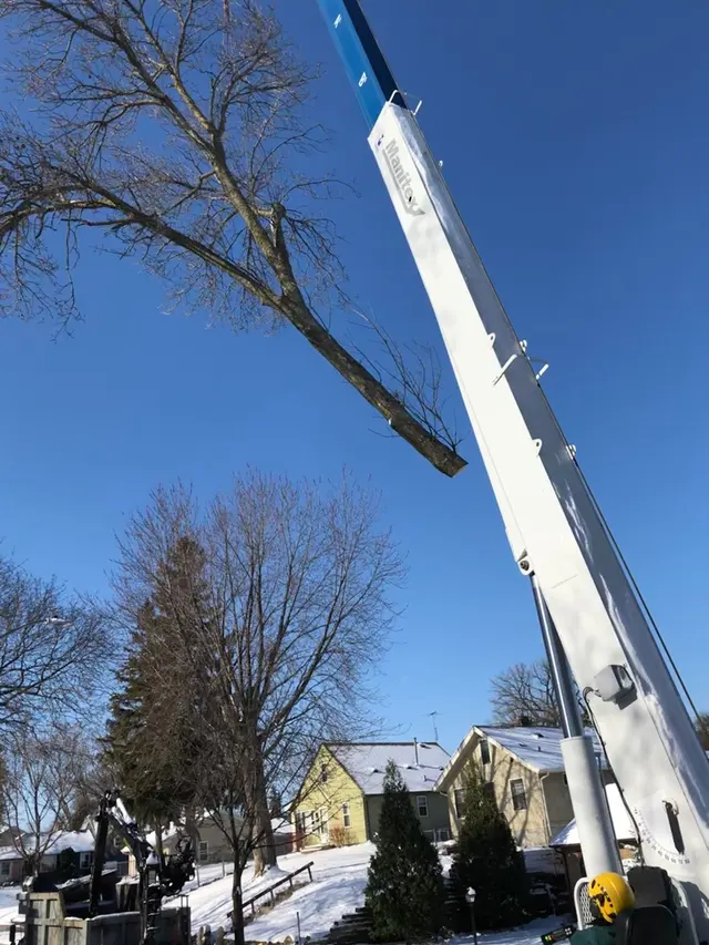 Bratt Tree — photo from the business 9