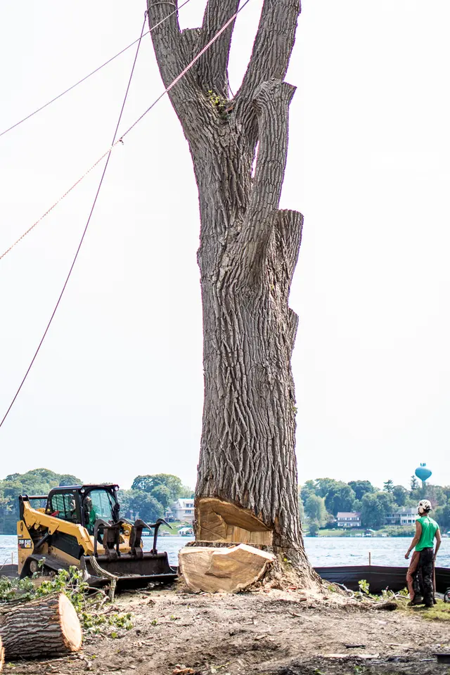 Bratt Tree — photo from the business 7