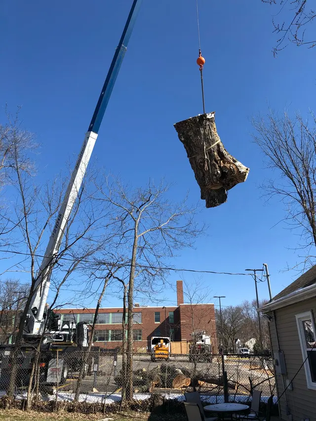 Bratt Tree — photo from the business 6