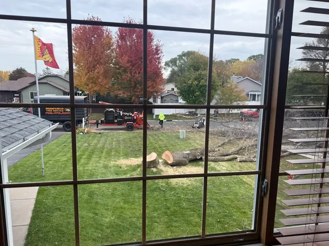Allstate Tree Service — customer photo 10