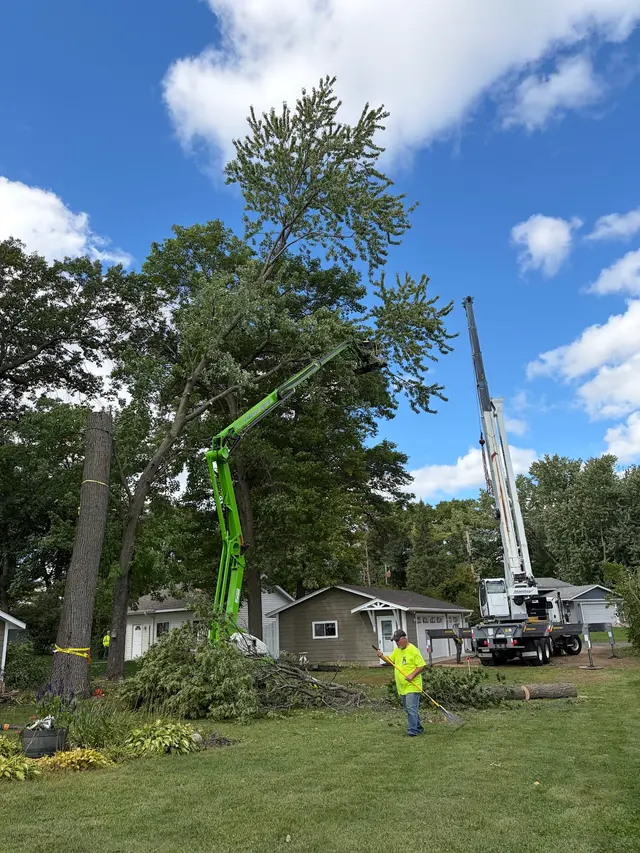 Allstate Tree Service — customer photo 1