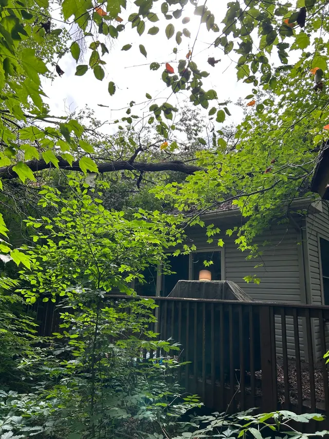Allstate Tree Service — photo from the business 7