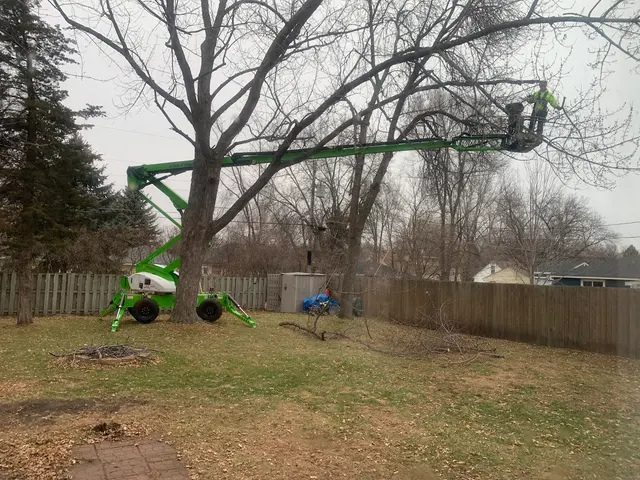 Customer photo from Keith's review