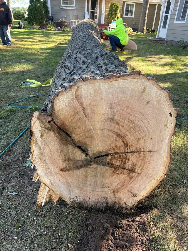 Allstate Tree Service — customer photo 9