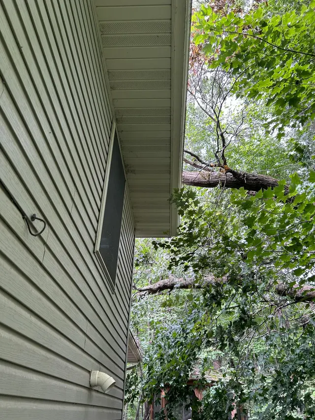 Allstate Tree Service — photo from the business 11