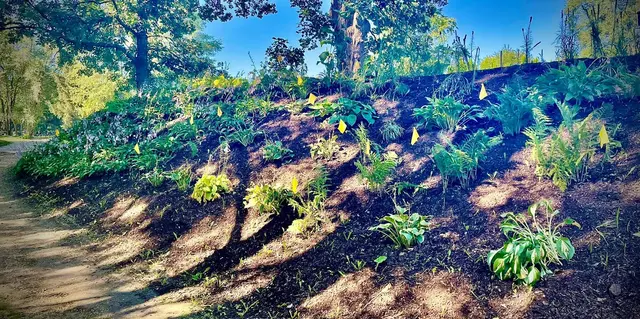 Ferrals Family Landscaping & Tree Services — customer photo 7