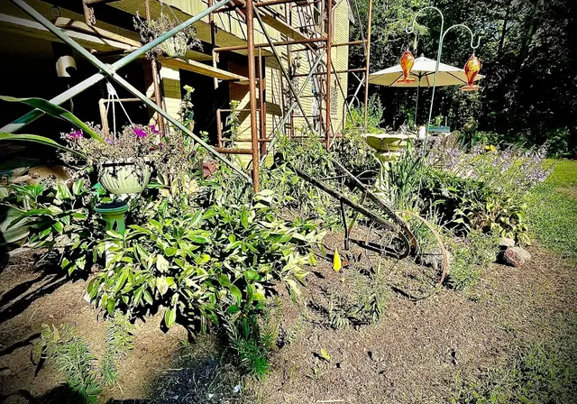 Ferrals Family Landscaping & Tree Services — customer photo 6