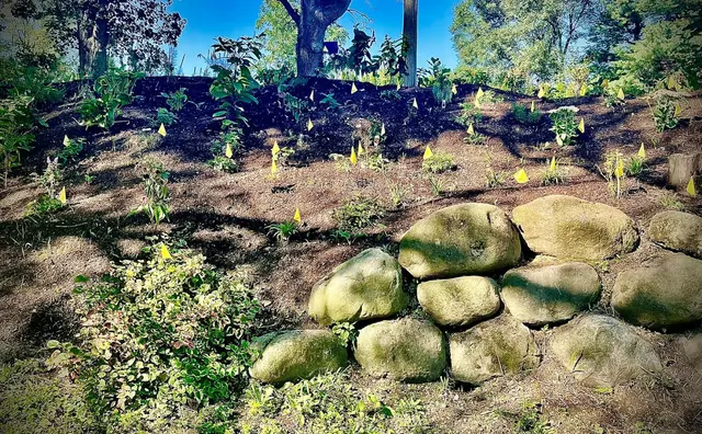 Ferrals Family Landscaping & Tree Services — customer photo 5