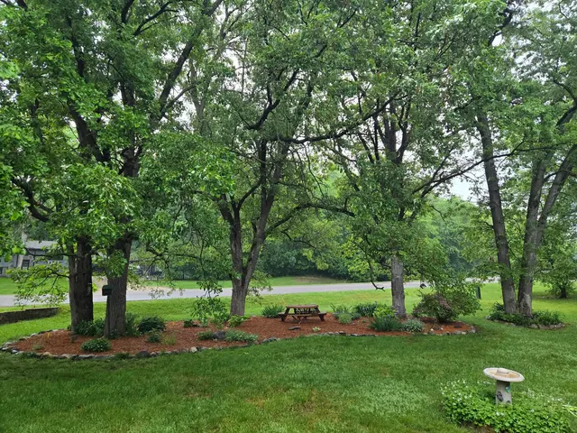 Goldentree Landscaping & Tree Service — customer photo 4