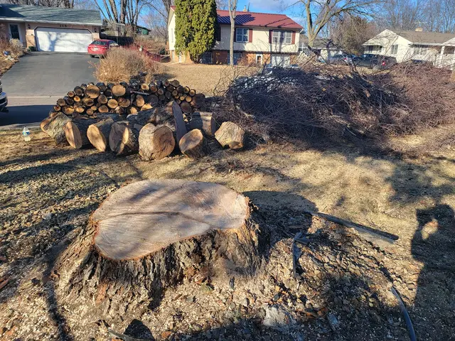 Goldentree Landscaping & Tree Service — customer photo 7