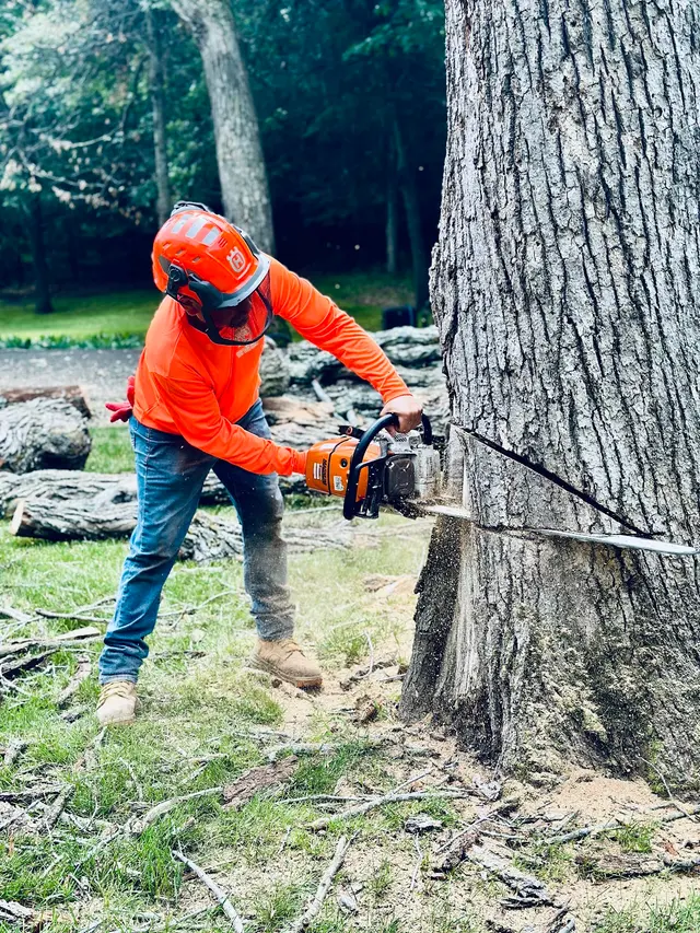 Goldentree Landscaping & Tree Service — photo from the business 11