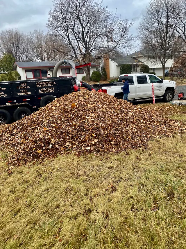 Goldentree Landscaping & Tree Service — photo from the business 2