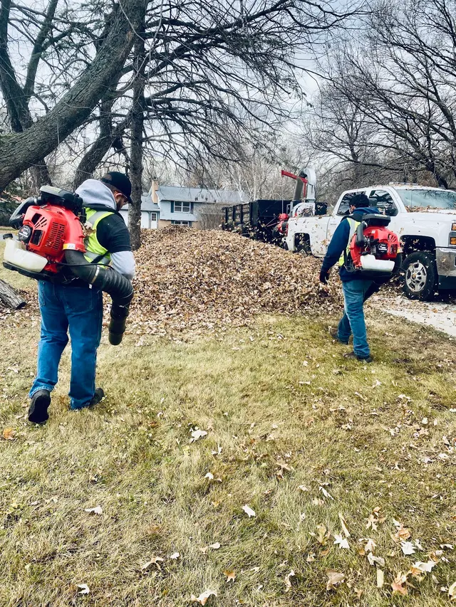 Goldentree Landscaping & Tree Service — photo from the business 9
