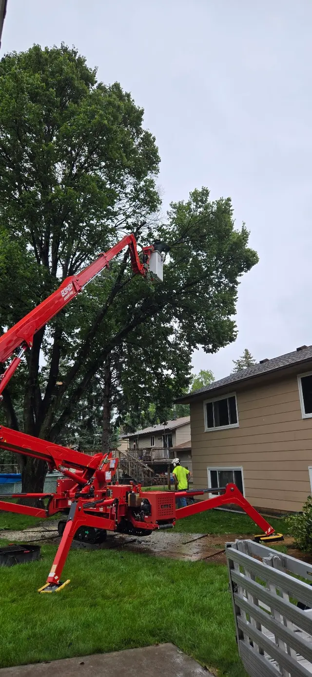 Premier Tree Service Inc — customer photo 4