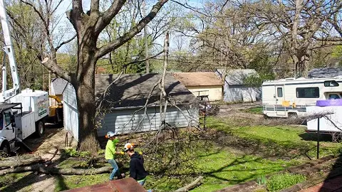 Premier Tree Service Inc — photo from the business 1