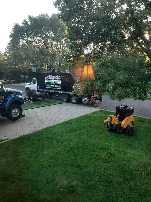 Premier Tree Service Inc — customer photo 7