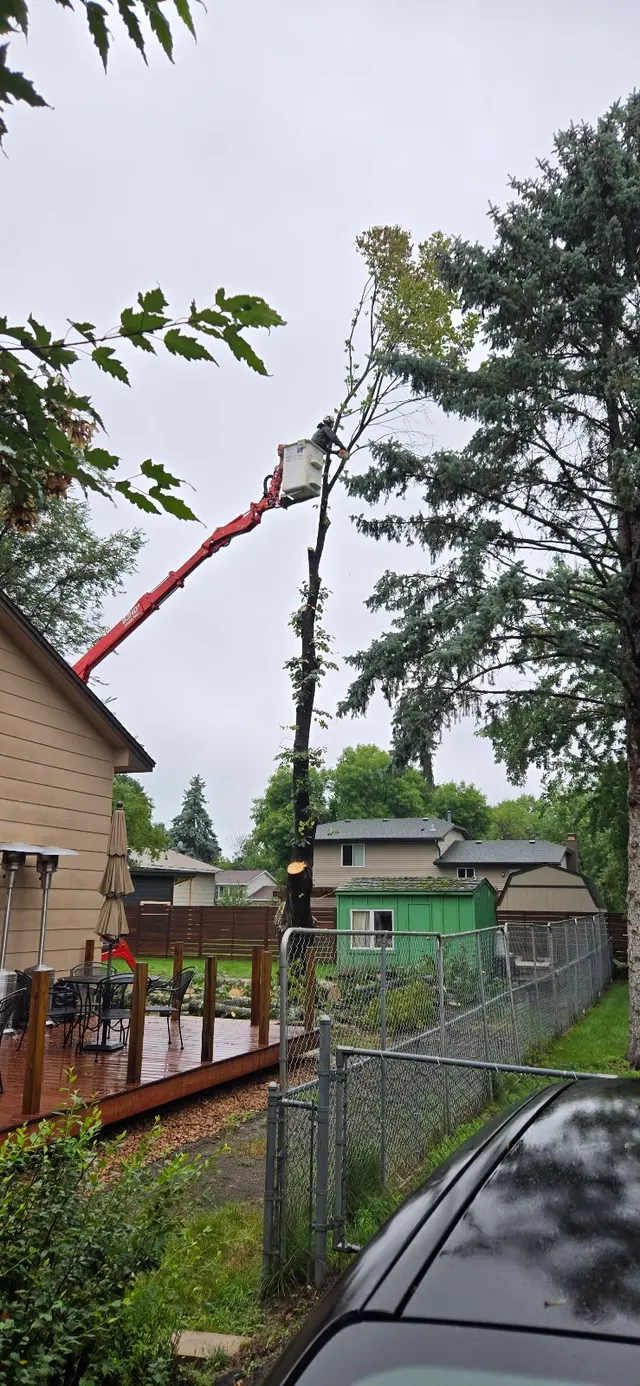 Premier Tree Service Inc — customer photo 6