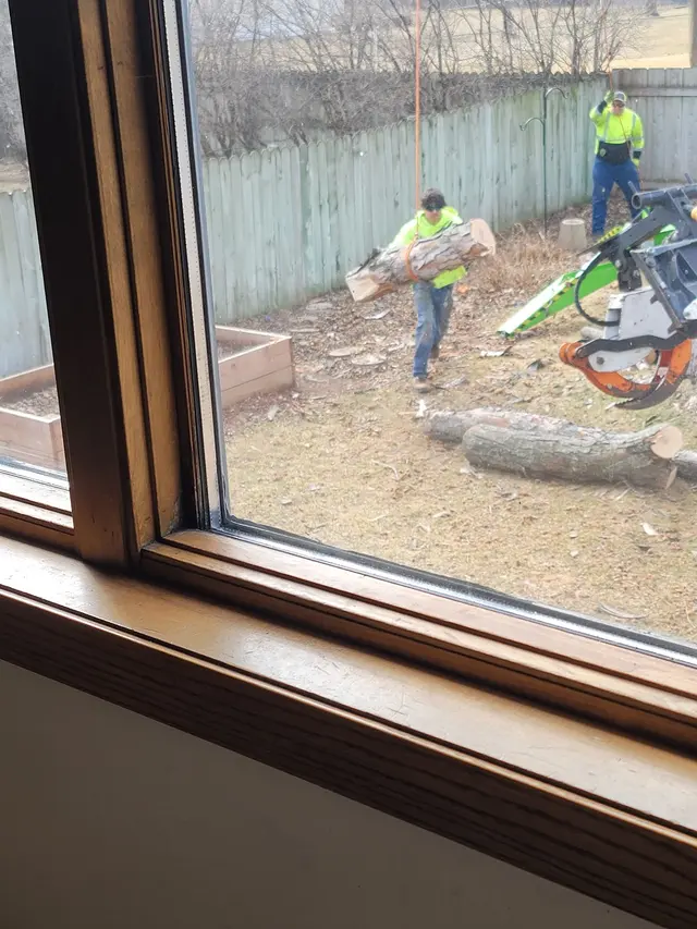 Premier Tree Service Inc — customer photo 11
