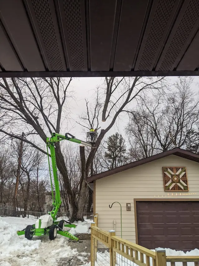 Premier Tree Service Inc — customer photo 3