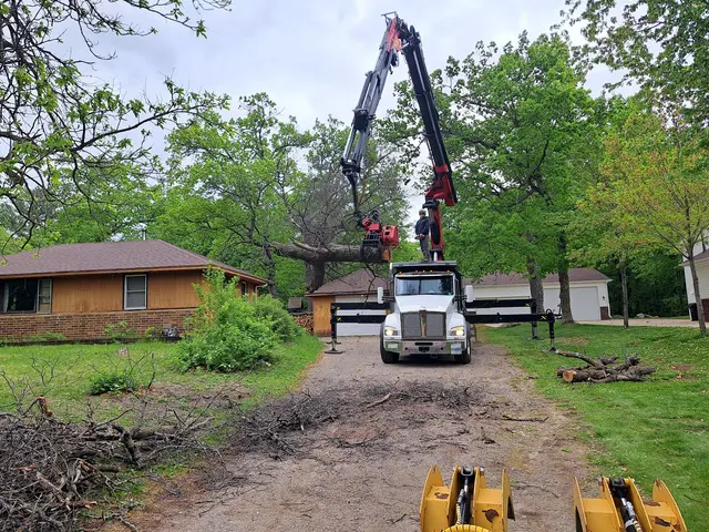 Family Tree Service LLC — photo from the business 4