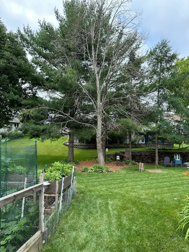 Family Tree Service LLC — customer photo 8
