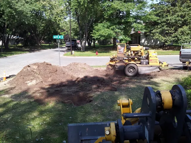 Family Tree Service LLC — photo from the business 12