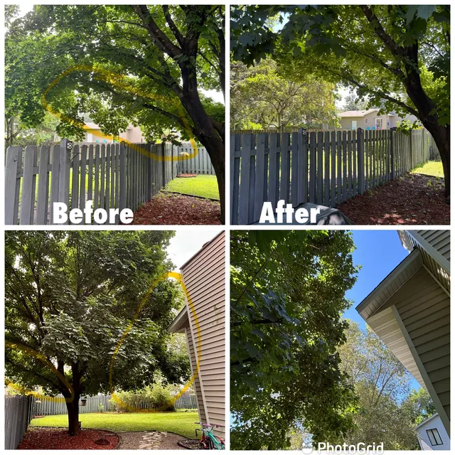 Customer photo of work by Family Tree Service LLC, from Katherine Tomlinson's review