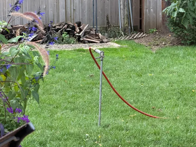 Vineland Tree Care — customer photo 9