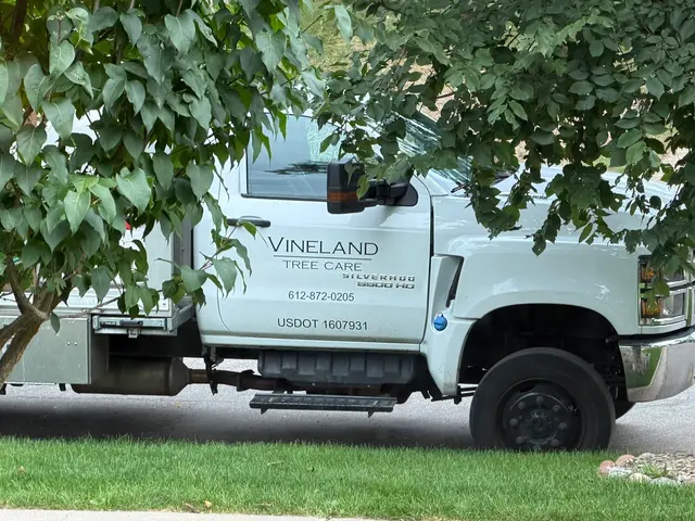 Vineland Tree Care — customer photo 7