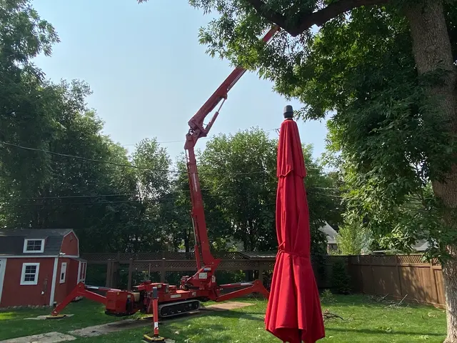 Vineland Tree Care — customer photo 6