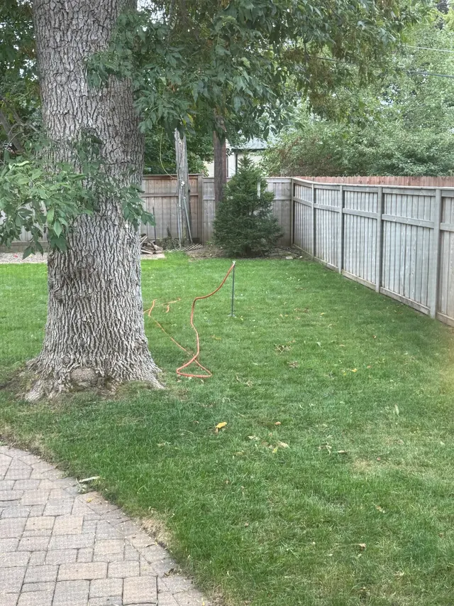 Vineland Tree Care — customer photo 11