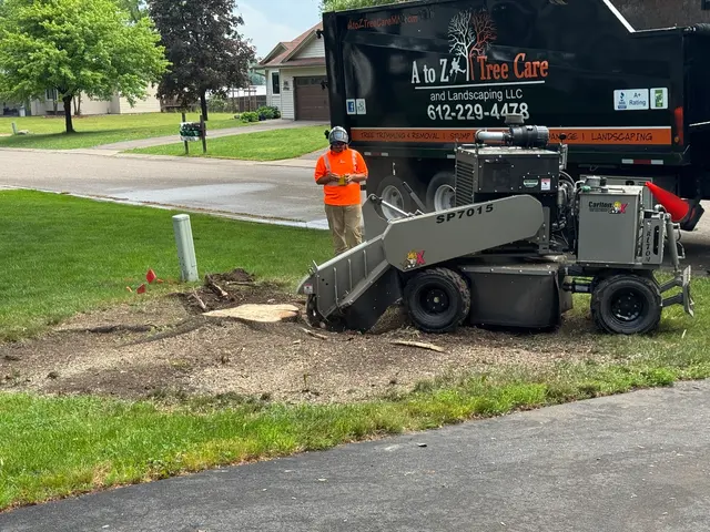 A to Z Tree Care LLC. — customer photo 10