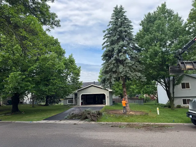 A to Z Tree Care LLC. — customer photo 1