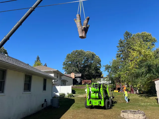 A to Z Tree Care LLC. — customer photo 6