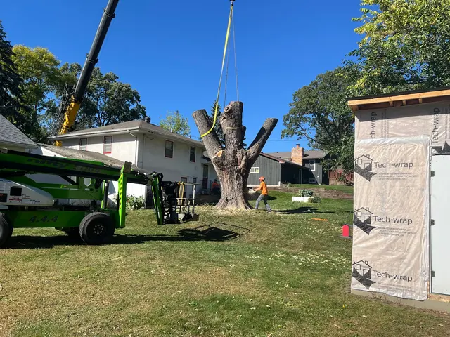 A to Z Tree Care LLC. — customer photo 12