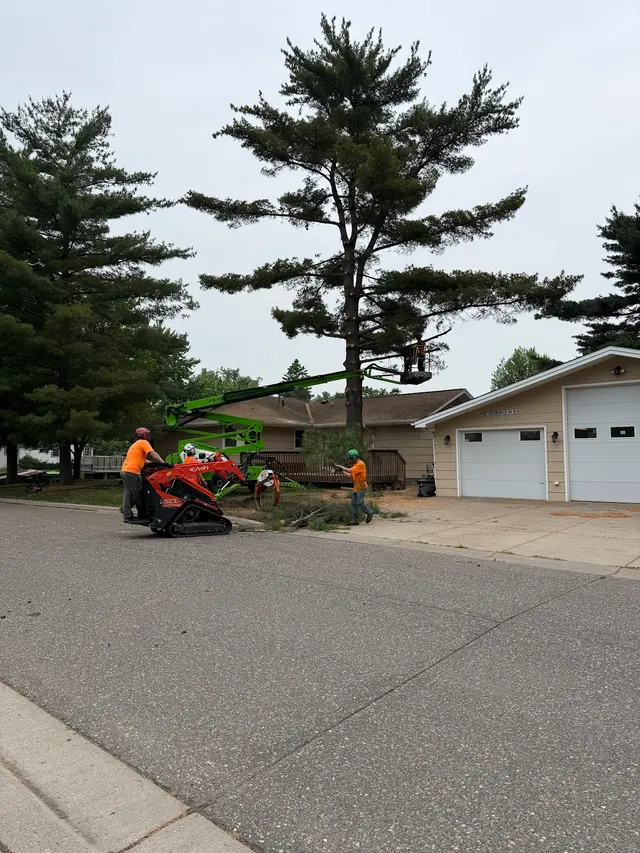 A to Z Tree Care LLC. — customer photo 9