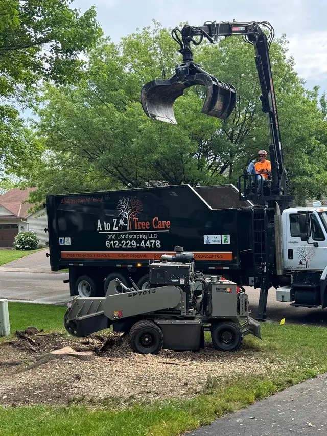 A to Z Tree Care LLC. — customer photo 3