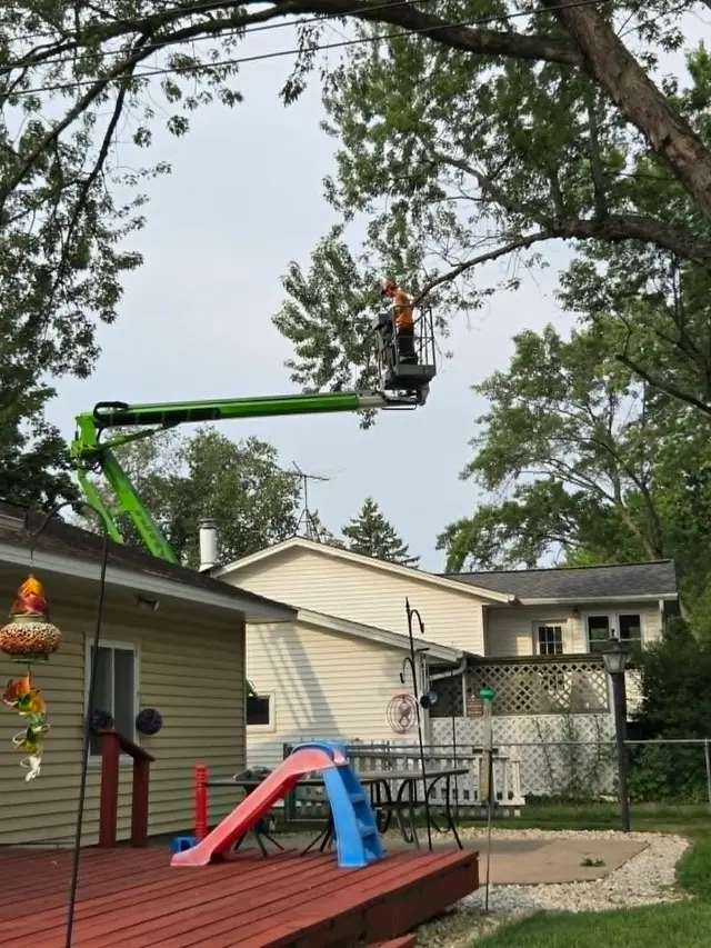A to Z Tree Care LLC. — customer photo 2