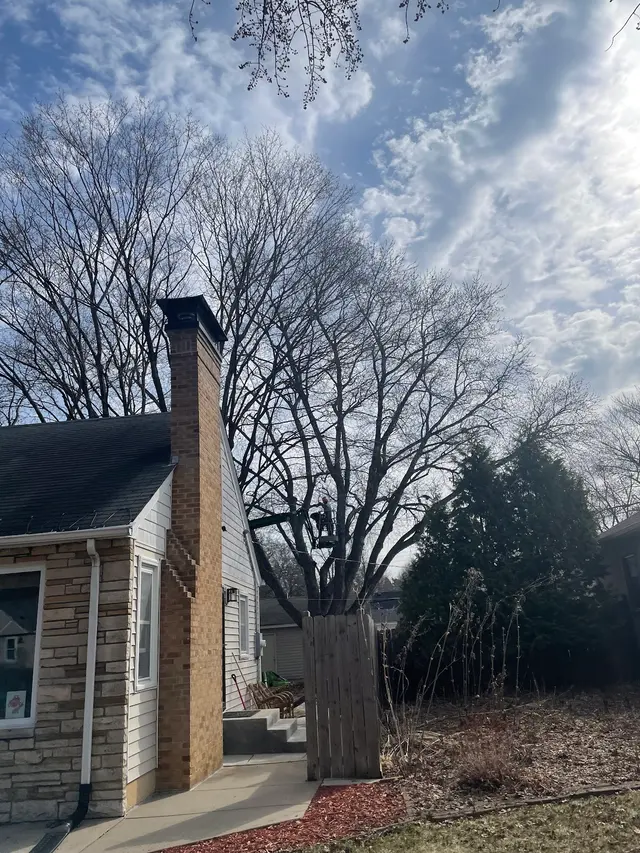 A to Z Tree Care LLC. — customer photo 7