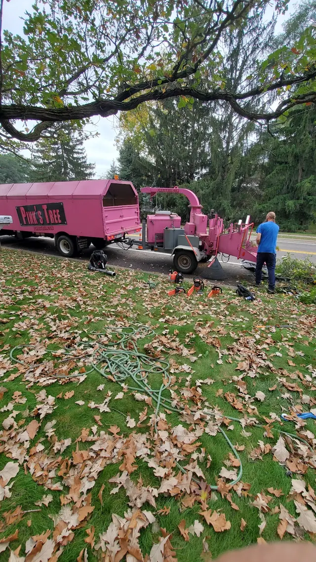 Pink's Tree Service — customer photo 11