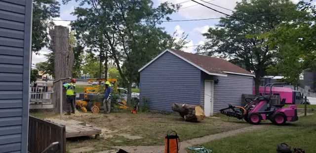 Pink's Tree Service — photo from the business 6