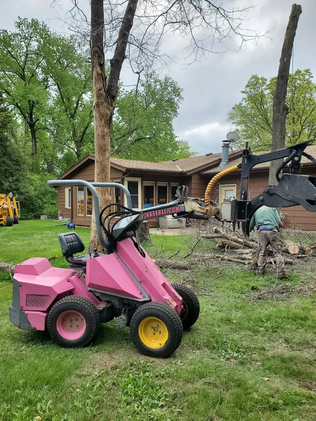 Pink's Tree Service — customer photo 5