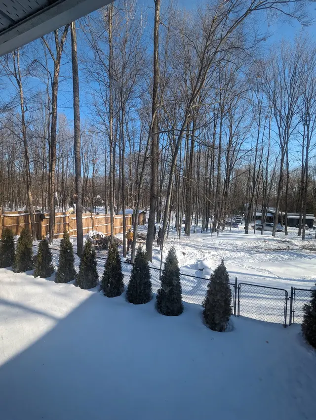 Pink's Tree Service — customer photo 10