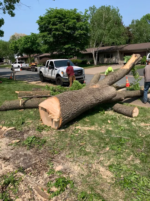 Pink's Tree Service — customer photo 7