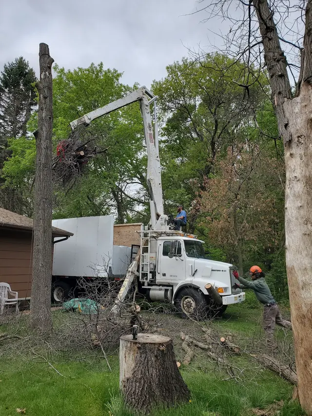 Pink's Tree Service — customer photo 8