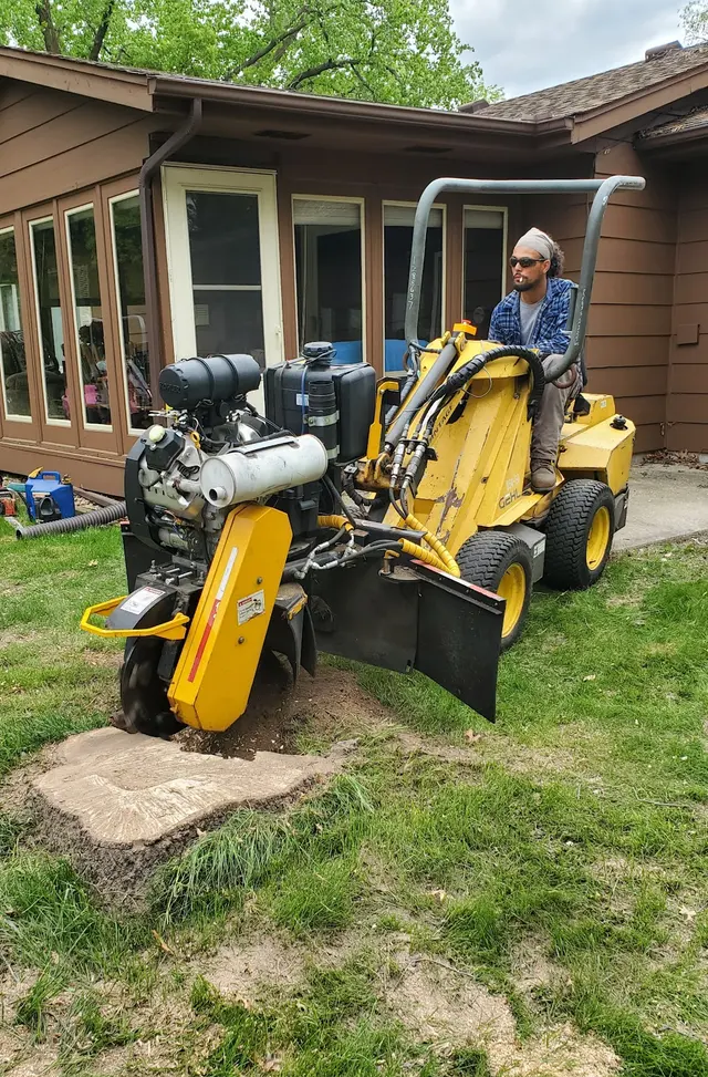 Pink's Tree Service — customer photo 9