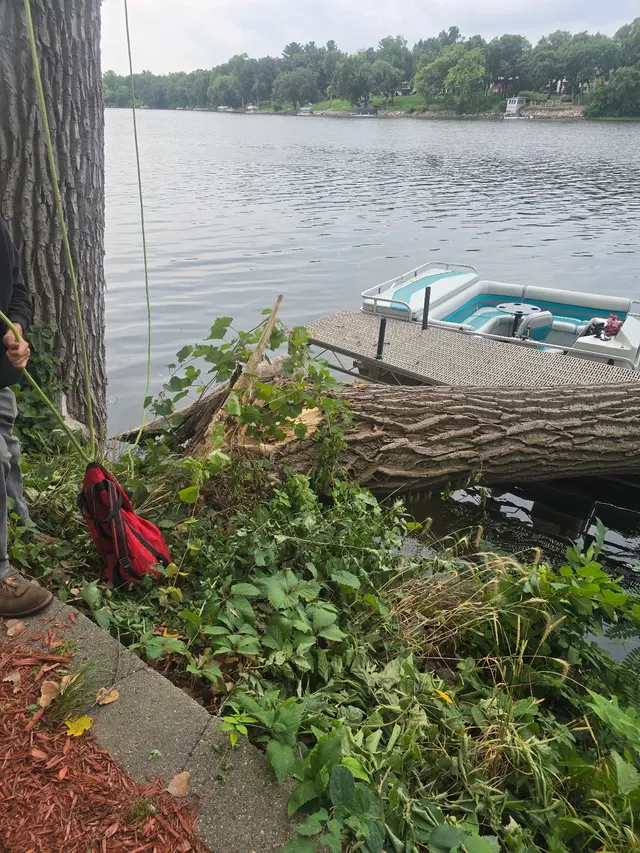 Pink's Tree Service — photo from the business 3