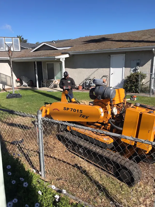 Paradise Tree Service — photo from the business 6